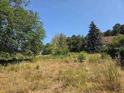 Grundstück kaufen in 3021 Pressbaum