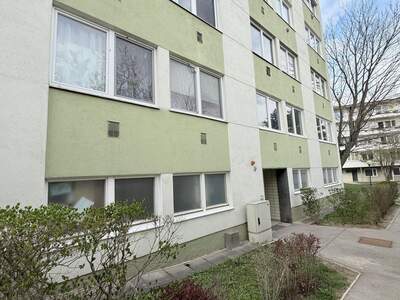 Wohnung kaufen in 2344 Maria Enzersdorf (Bild 1)