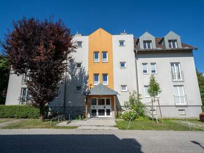 Terrassenwohnung mieten in 3375 Krummnußbaum (Bild 4)