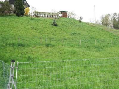Grundstück kaufen in 8101 Gratkorn (Bild 3)