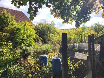 Einfamilienhaus kaufen in 3704 Großwetzdorf (Bild 4)