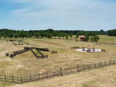 Haus kaufen in 6114 Bugac (Bild 3)