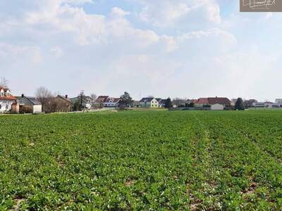 Grundstück kaufen in 2301 Franzensdorf
