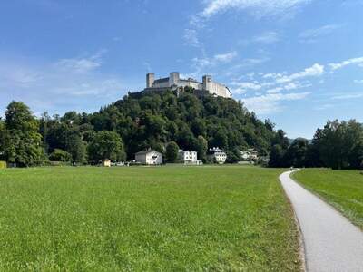 Erdgeschosswohnung kaufen in 5020 Salzburg