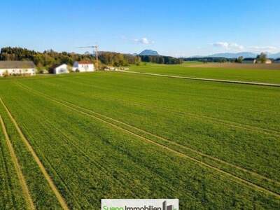 Gewerbeobjekt kaufen in 4654 Bad Wimsbach (Bild 3)