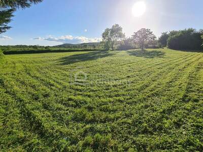 Grundstück kaufen in 7091 Breitenbrunn (Bild 2)