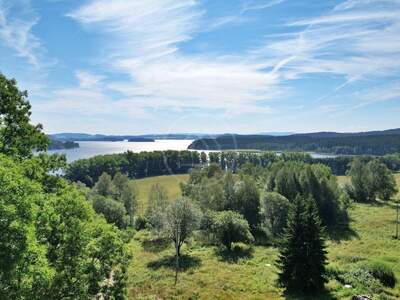 Gewerbeobjekt kaufen in 38226 Horní Planá (Bild 2)