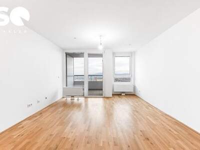 Wohnung kaufen in 1100 Wien