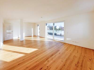 Terrassenwohnung kaufen in 1220 Wien (Bild 5)
