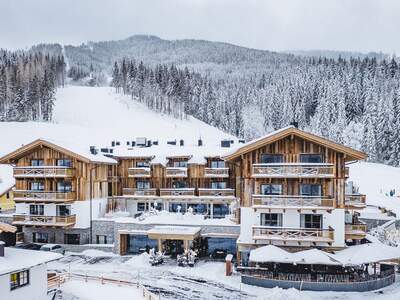 Anlageobjekt kaufen in 5771 Leogang (Bild 2)
