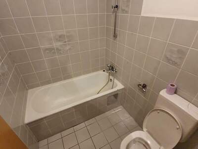 Wohnung kaufen in 1100 Wien (Bild 4)