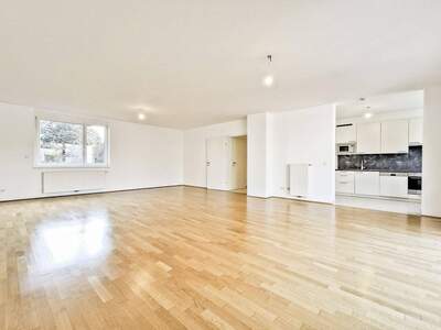 Wohnung mieten in 1190 Wien