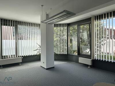 Gewerbeobjekt mieten in 5400 Hallein (Bild 3)