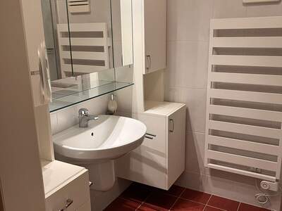 Wohnung mit Balkon kaufen in 2821 Lanzenkirchen (Bild 5)