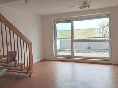 Terrassenwohnung mieten in 3382 Loosdorf (Bild 1)