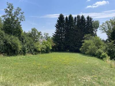 Grundstück kaufen in 8045 Weinitzen (Bild 3)