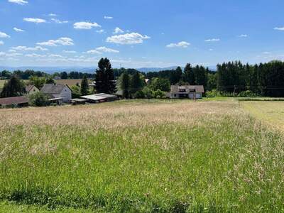 Grundstück kaufen in 8413 Sankt Georgen (Bild 1)