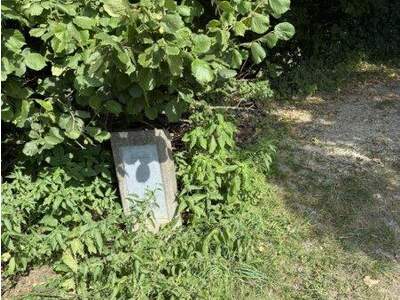 Grundstück kaufen in 5241 Maria Schmolln (Bild 4)