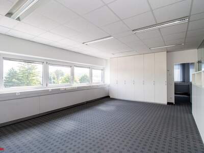 Gewerbeobjekt mieten in 4600 Thalheim (Bild 4)