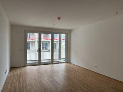 Wohnung mieten in 2331 Vösendorf