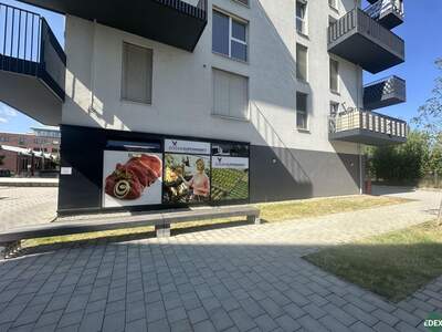 Gewerbeobjekt mieten in 1220 Wien (Bild 5)