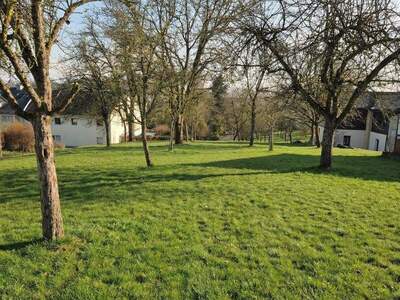 Grundstück kaufen in 4076 Sankt Marienkirchen