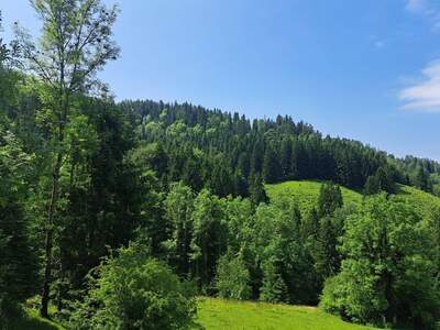 Gewerbeobjekt kaufen in 8573 Kainach