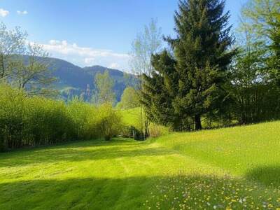 Grundstück kaufen in 8650 Kindberg (Bild 1)