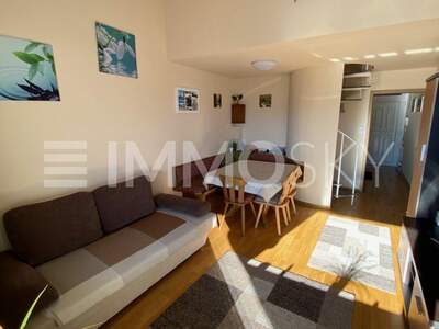 Terrassenwohnung kaufen in 8983 Bad Mitterndorf (Bild 5)