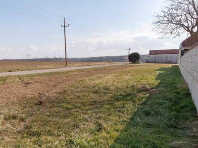 Grundstück kaufen in 7100 Neusiedl