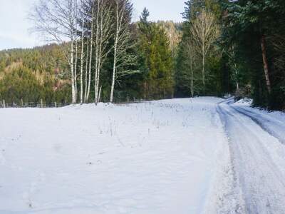 Grundstück kaufen in 8862 Stadl (Bild 4)