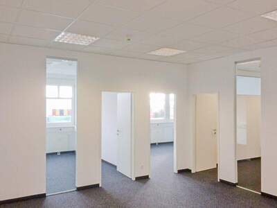 Büro / Praxis mieten in 2351 Wr. Neudorf (Bild 4)