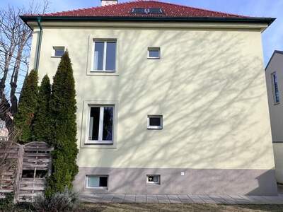 Haus mieten in 2500 Baden (Bild 3)