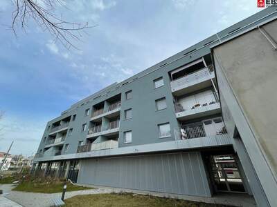 Apartment provisionsfrei mieten in 5020 Salzburg