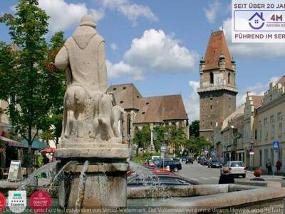 Grundstück kaufen in 2380 Perchtoldsdorf (Bild 5)