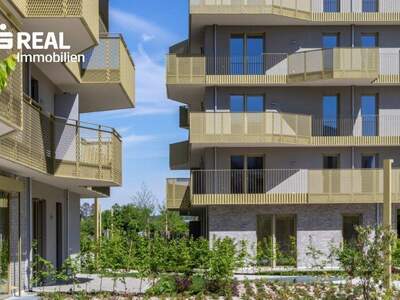 Terrassenwohnung kaufen in 1210 Wien (Bild 1)