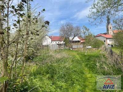 Haus kaufen in 4204 Reichenau