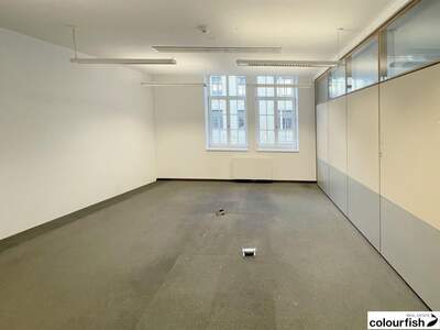 Gewerbeobjekt mieten in 1010 Wien (Bild 4)