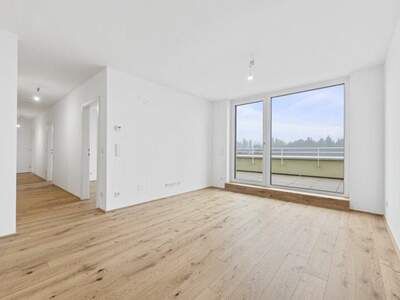 Terrassenwohnung kaufen in 2540 Bad Vöslau (Bild 4)