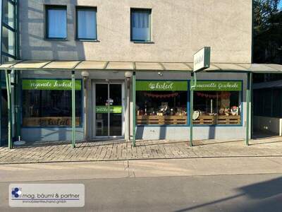 Einzelhandel mieten in 1130 Wien (Bild 2)