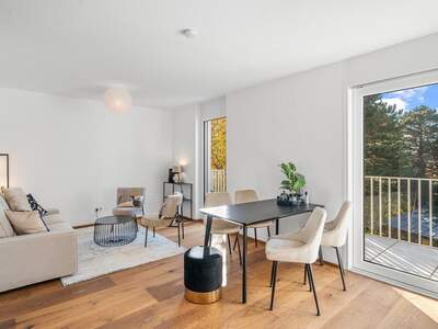 Terrassenwohnung kaufen in 1220 Wien (Bild 1)