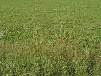 Gewerbeobjekt kaufen in 8054 Pirka