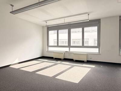 Gewerbeobjekt mieten in 2320 Schwechat