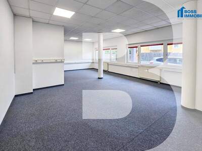 Gewerbeobjekt mieten in 4050 Traun