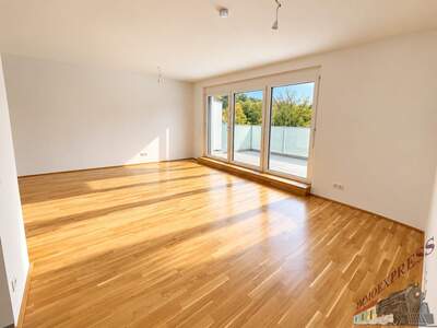 Terrassenwohnung kaufen in 3400 Klosterneuburg (Bild 1)