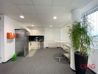 Gewerbeobjekt mieten in 4040 Linz (Bild 4)