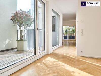 Terrassenwohnung kaufen in 1080 Wien (Bild 5)