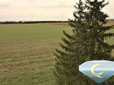 Eigentumswohnung in 2000 Stockerau