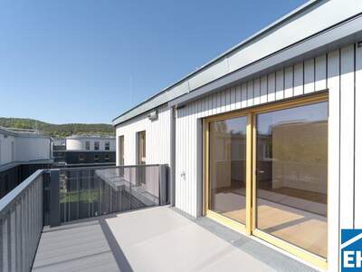 Terrassenwohnung kaufen in 2340 Mödling (Bild 4)