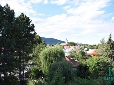 Haus kaufen in 2512 Traiskirchen